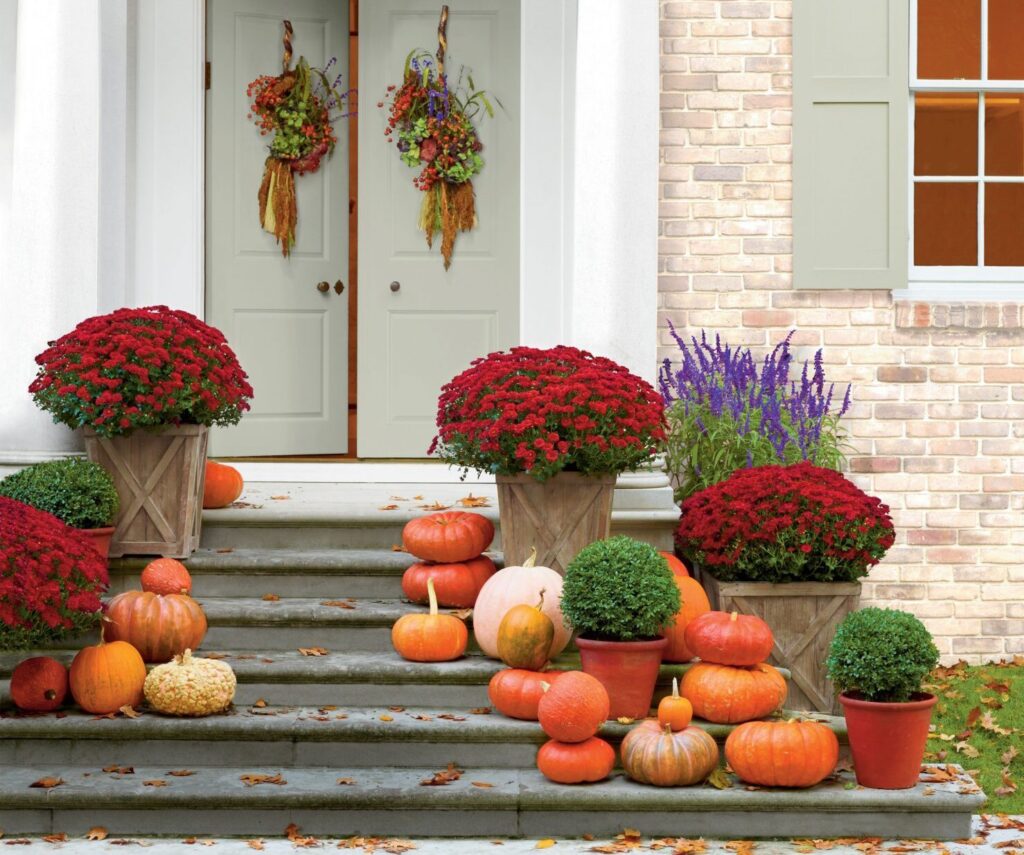 Boost Your Curb Appeal Before Holiday Hosting Begins